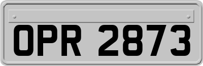 OPR2873