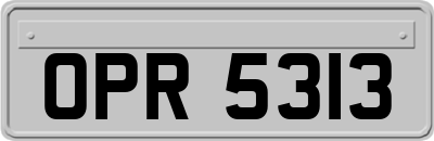 OPR5313