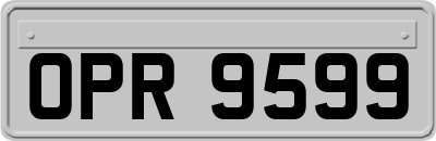 OPR9599