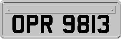 OPR9813