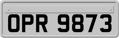 OPR9873
