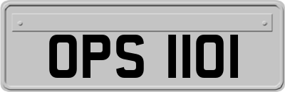 OPS1101