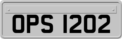 OPS1202