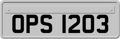 OPS1203