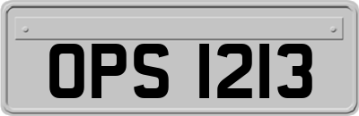 OPS1213