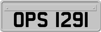 OPS1291