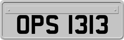 OPS1313