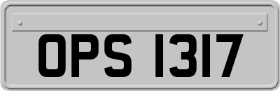 OPS1317