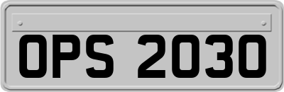 OPS2030