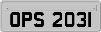 OPS2031