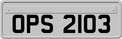OPS2103
