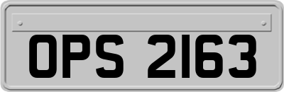 OPS2163