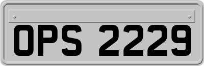 OPS2229