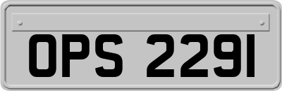 OPS2291