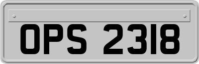 OPS2318