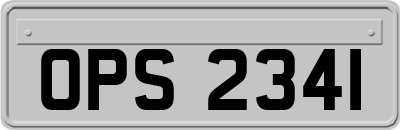 OPS2341