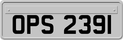 OPS2391