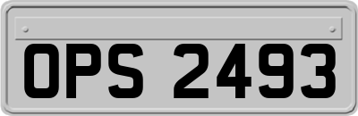 OPS2493