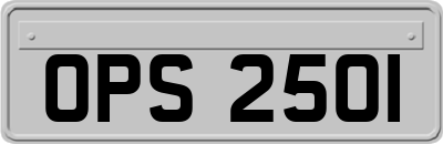OPS2501