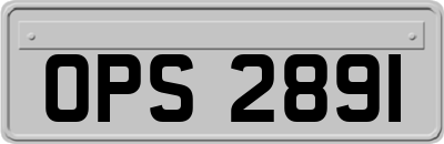 OPS2891