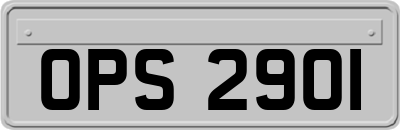 OPS2901