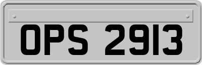 OPS2913