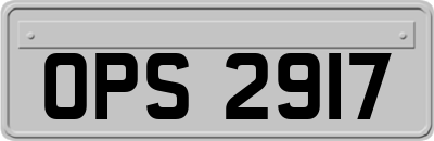 OPS2917