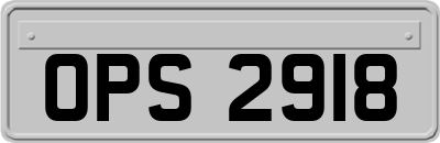 OPS2918