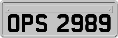 OPS2989