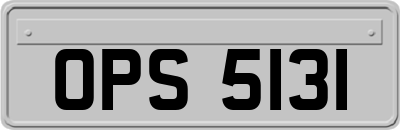 OPS5131
