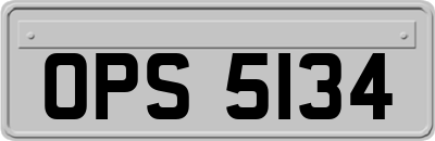OPS5134