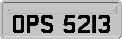 OPS5213