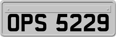 OPS5229