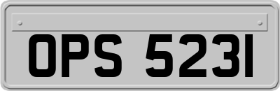 OPS5231