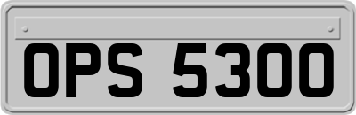 OPS5300