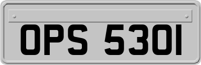 OPS5301