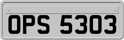 OPS5303