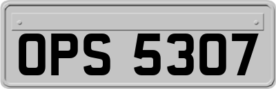 OPS5307