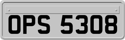 OPS5308