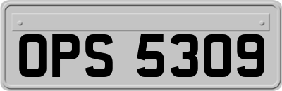 OPS5309