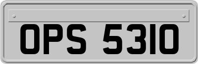 OPS5310