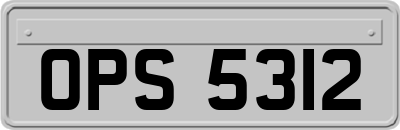 OPS5312