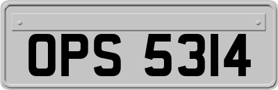 OPS5314