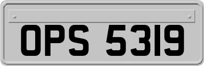 OPS5319