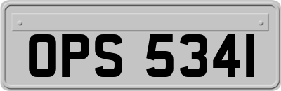 OPS5341