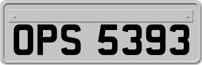 OPS5393
