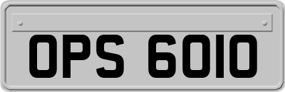 OPS6010