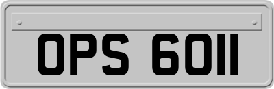 OPS6011