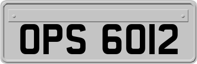 OPS6012
