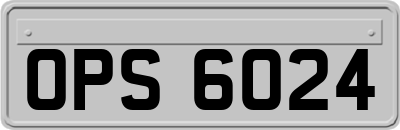 OPS6024
